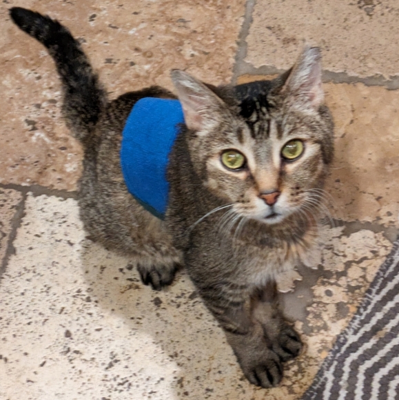 Meet your Posher, Adrienne - Picture 9 of 16